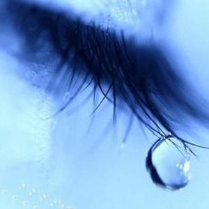 伊甸园久久网站
