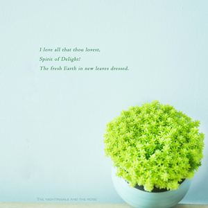 伊甸园久久网站
